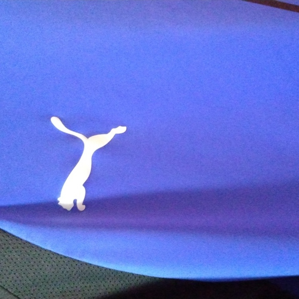Puma Shirt